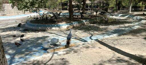 عکس باغ پرندگان ناژوان