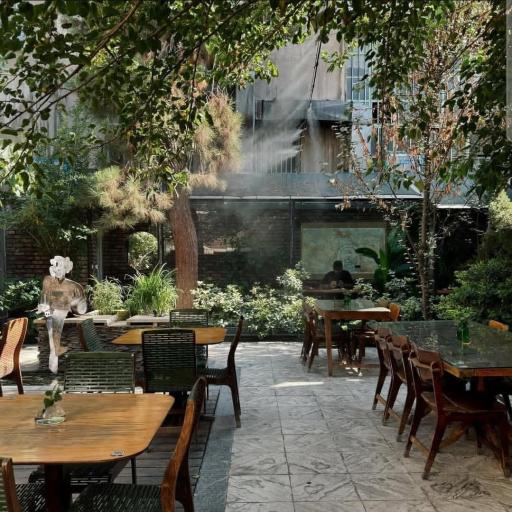 عکس چای کافه