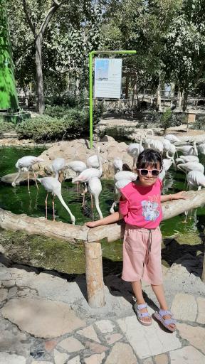 عکس باغ پرندگان ناژوان