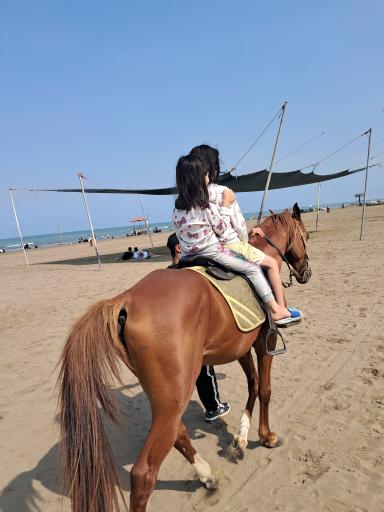 عکس ساحل مجموعه تفریحی فرح آباد