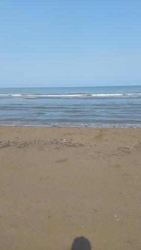 عکس ساحل مجموعه تفریحی فرح آباد