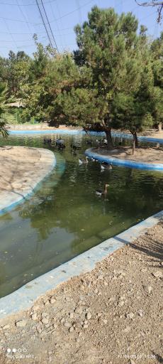 عکس باغ پرندگان ناژوان