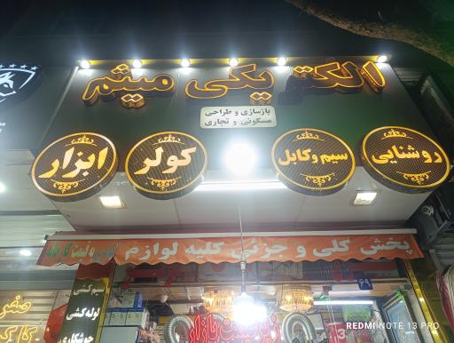 عکس الکتریکی میثم