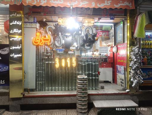 عکس الکتریکی میثم