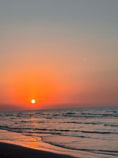 عکس ساحل مجموعه تفریحی فرح آباد