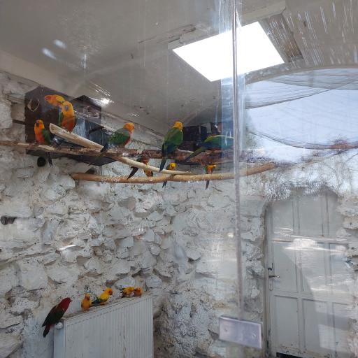 عکس باغ پرندگان ناژوان