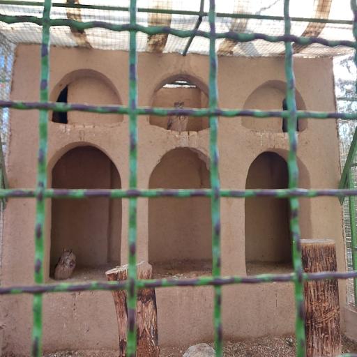 عکس باغ پرندگان ناژوان