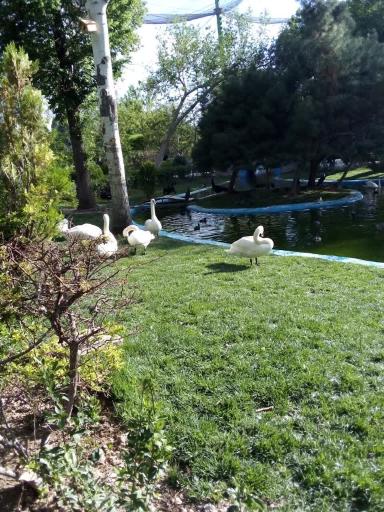 عکس باغ پرندگان ناژوان