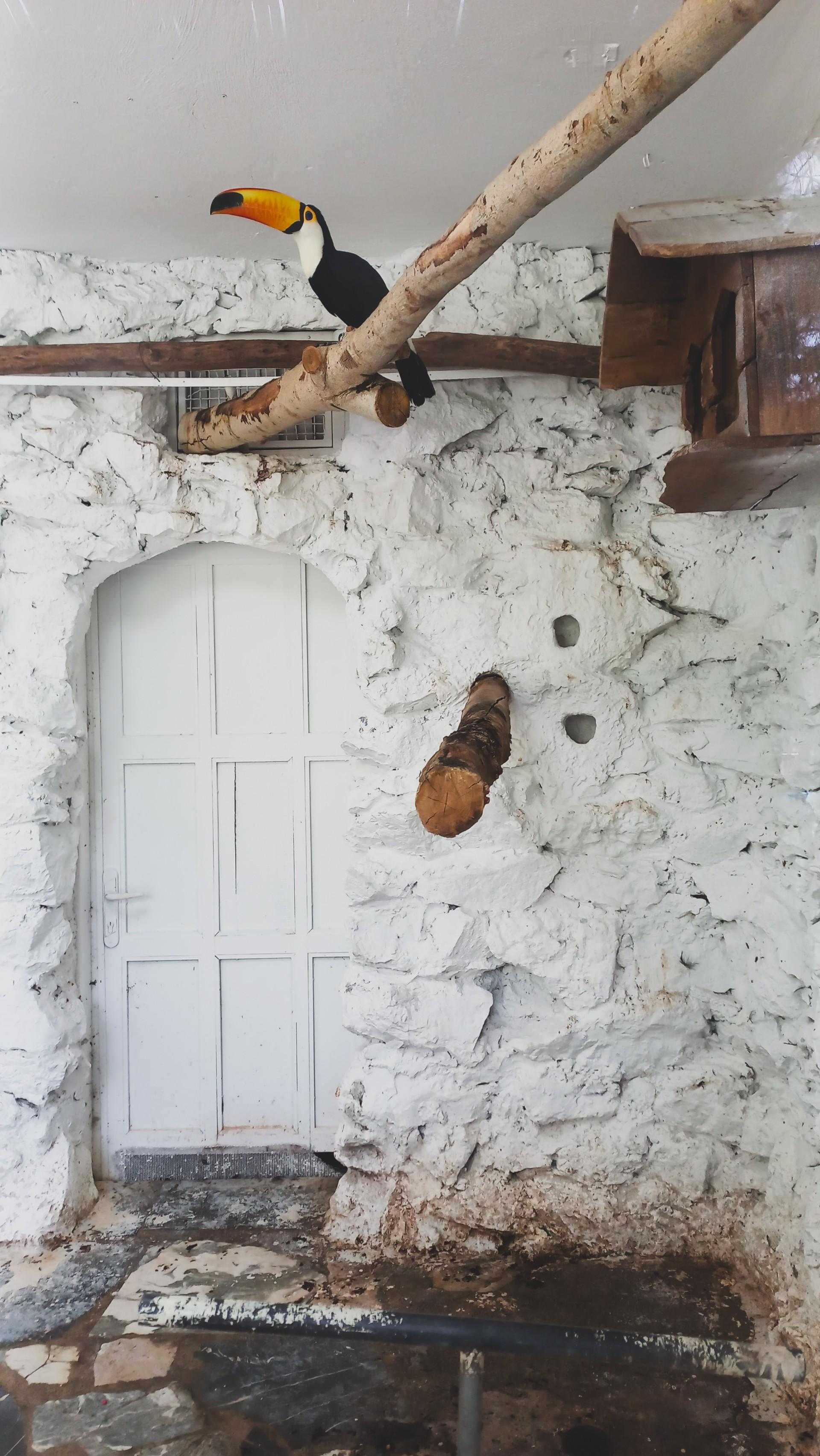 عکس باغ پرندگان ناژوان