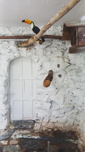 عکس باغ پرندگان ناژوان