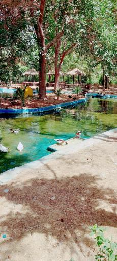 عکس باغ پرندگان ناژوان