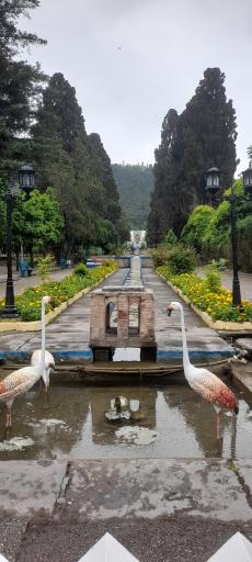 عکس پارک ملت بهشهر