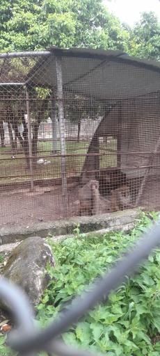 عکس پارک ملت بهشهر