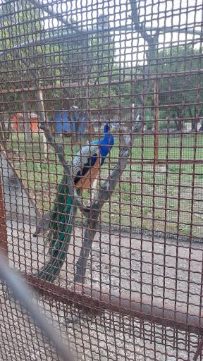 عکس پارک ملت بهشهر