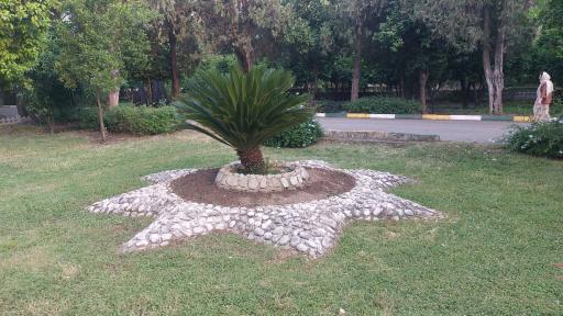 عکس پارک ملت بهشهر