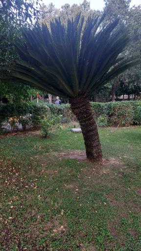 عکس پارک ملت بهشهر