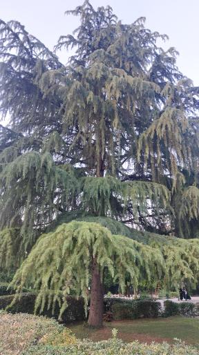 عکس پارک ملت بهشهر