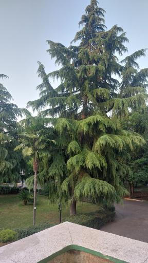 عکس پارک ملت بهشهر