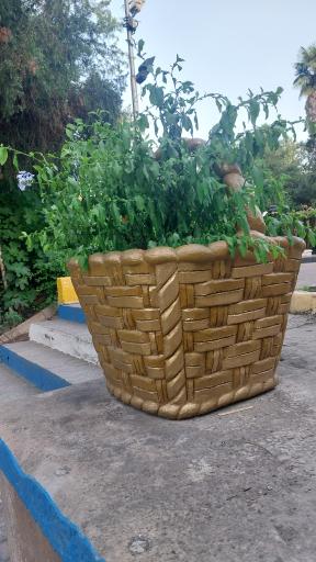 عکس پارک ملت بهشهر