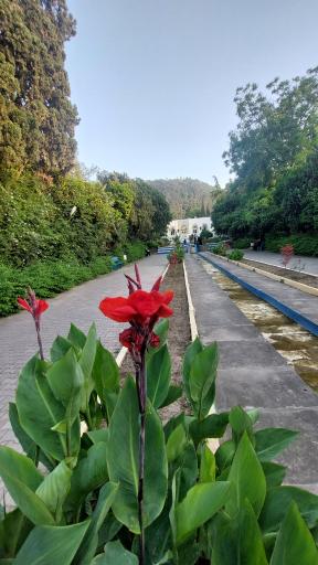 عکس پارک ملت بهشهر