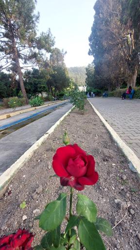 عکس پارک ملت بهشهر