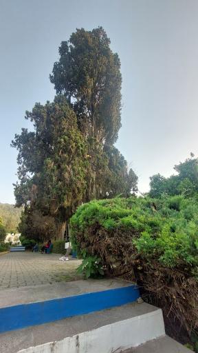 عکس پارک ملت بهشهر