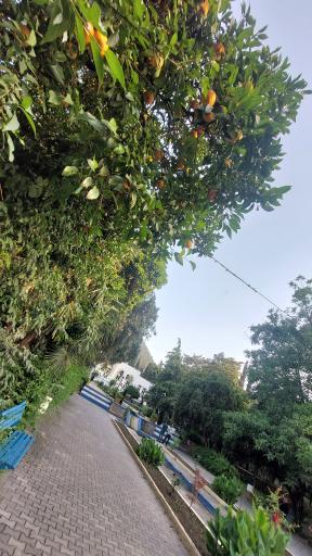 عکس پارک ملت بهشهر