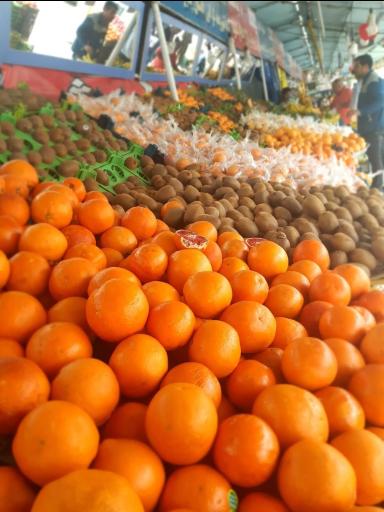 بازار میوه و تره بار شهرما