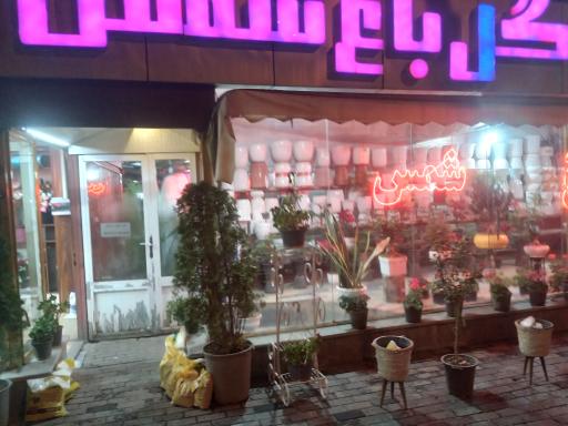 عکس گل باغ شمس