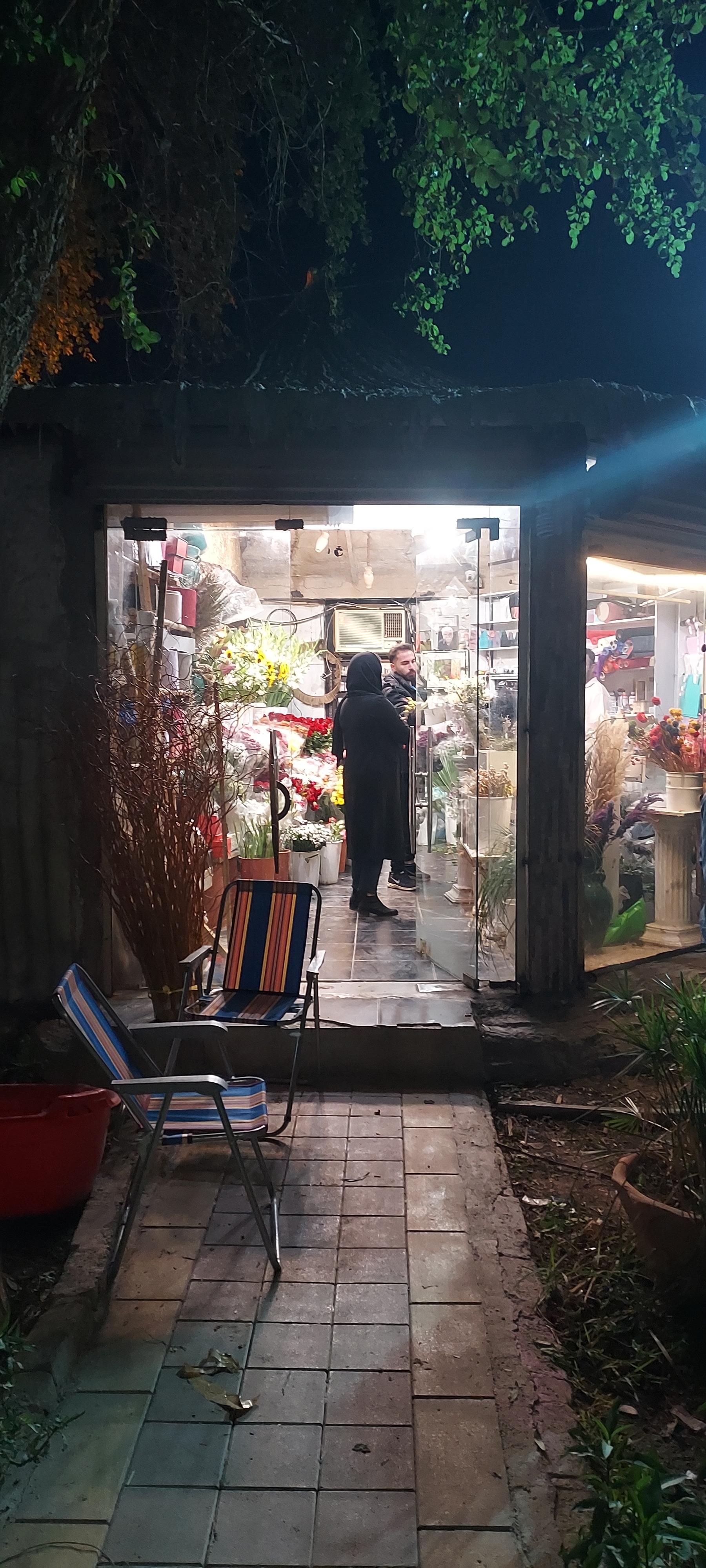 عکس گل سرای مریم