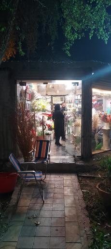 عکس گل سرای مریم