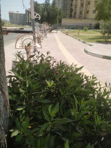 عکس بوستان پیارم