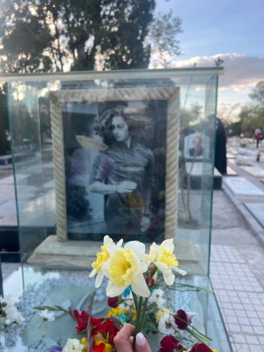 عکس مزار مهرشاد شهیدی