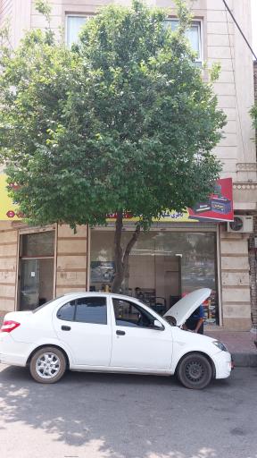 عکس باتری سازی نجفی حکیمیه