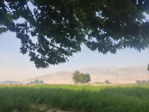 عکس چشمه اشگرد 