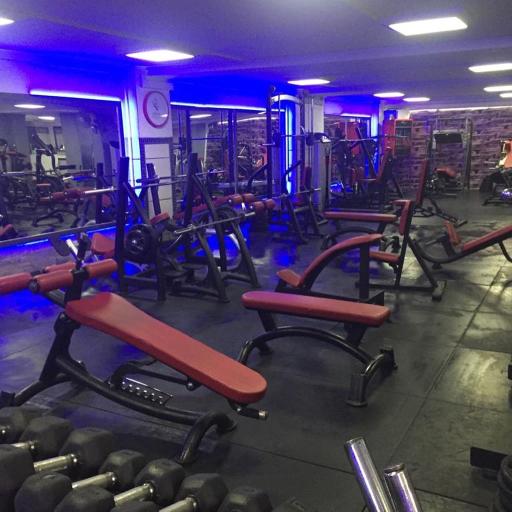 عکس باشگاه بدنسازی کات