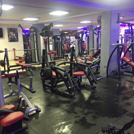 باشگاه بدنسازی کات