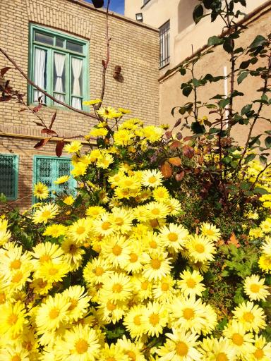 عکس اقامتگاه بومگردی حاج کاظم