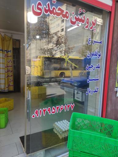 عکس پروتئین محمدی