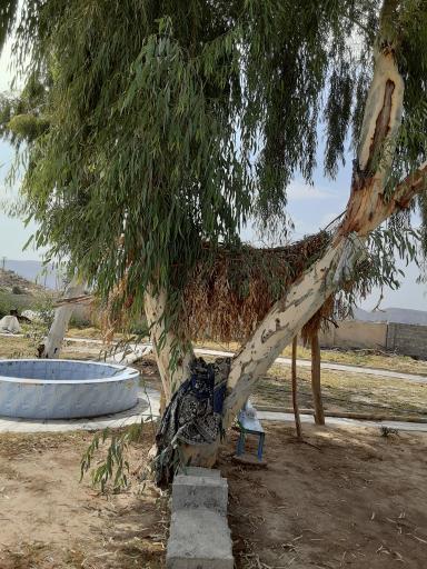 عکس چشمه آب گرم آب گر