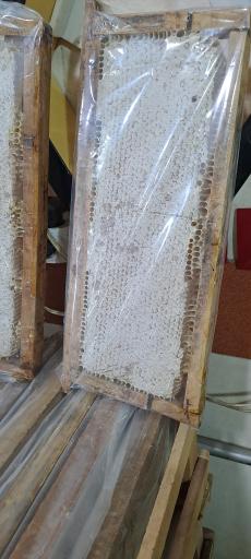 عکس عسل حسینی