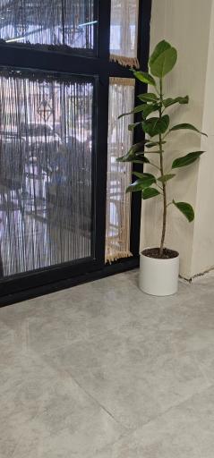 عکس مجموعه غذایی زانکو