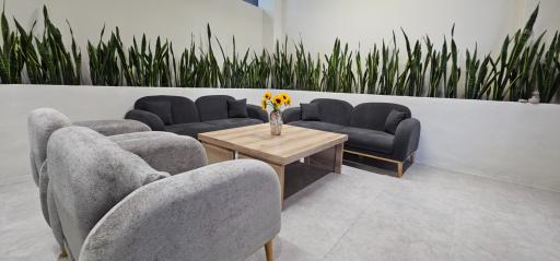 مجموعه غذایی زانکو