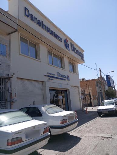 بیمه دانا سرپرستی 