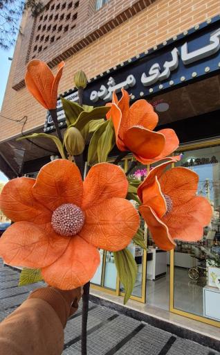 عکس گالری مژده