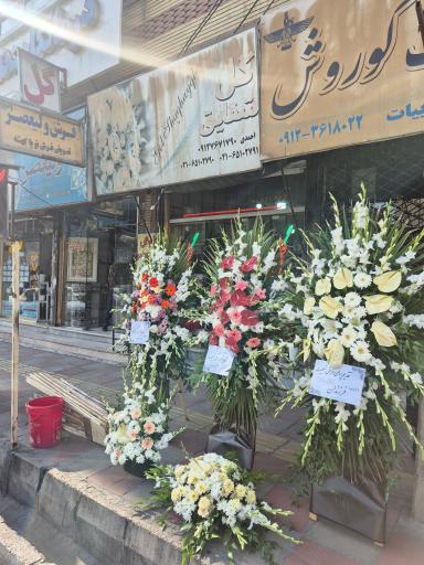 عکس گل فروشی شقایق