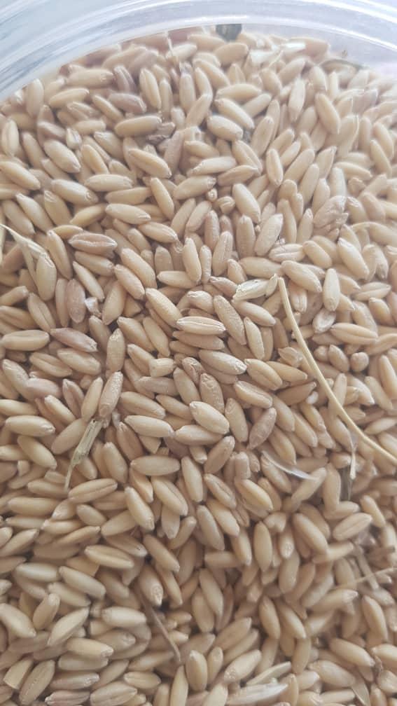 عکس بازرگانی و فروشگاه نهاده های دام و طیور سید مصطفی