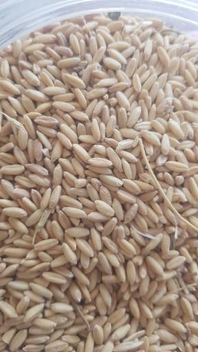 عکس بازرگانی و فروشگاه نهاده های دام و طیور سید مصطفی