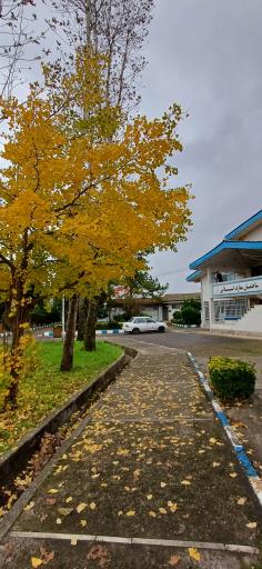 عکس دانشگاه آزاد اسلامی واحد لاهیجان