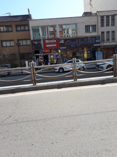 عکس تشک زنیت 